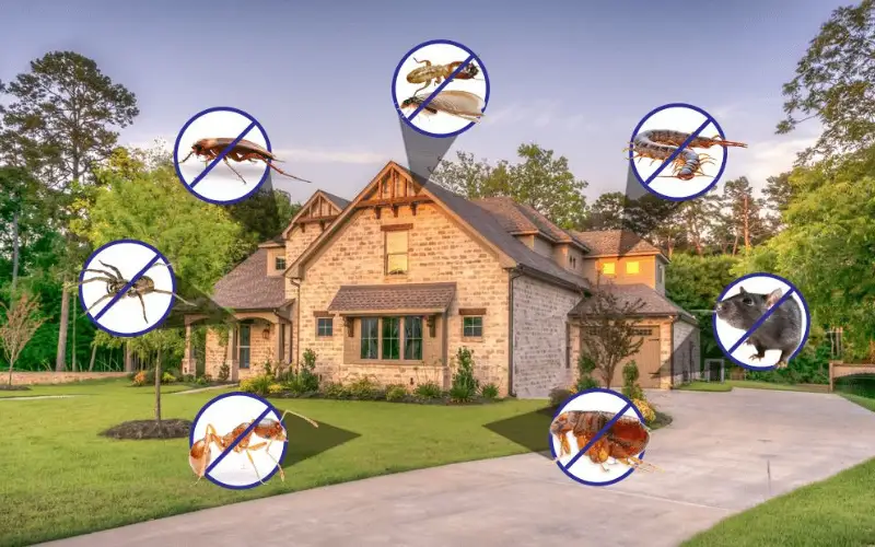 Commercial Pest Control Service in Chennai