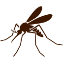 Mosquito Control Chennai
